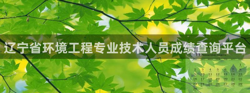 彩名堂官方下载地址：辽宁省环境工程专