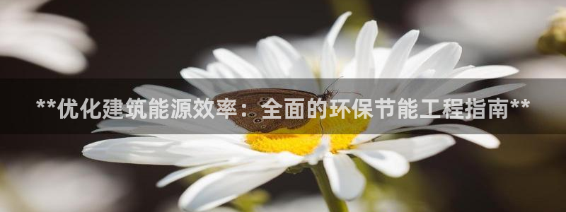 彩名堂预测：**优化建筑能源效率：全