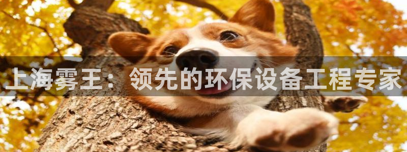 彩名堂免费计划5.0使用方法：上海雾