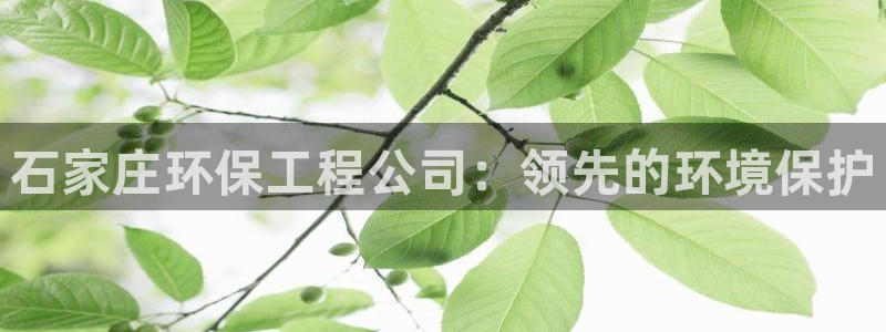 彩名堂免费计划亮点：石家庄环保工程公司：领先的环境保护