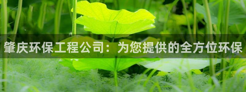 彩名堂计划app安卓免费下载：肇庆环