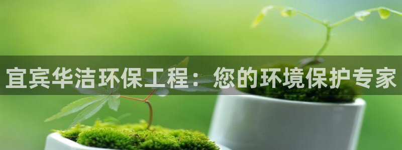 彩名堂合作655560：宜宾华洁环保