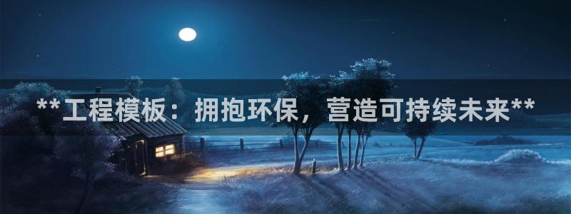 彩名堂.netnet：**工程模板：
