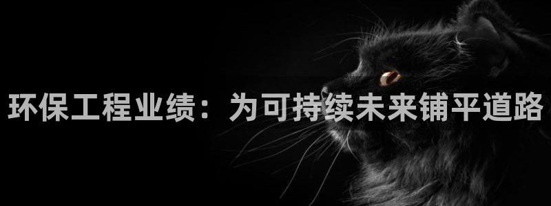 彩名堂5.0!：环保工程业绩：为可持
