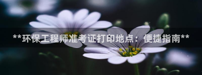 最新彩名堂计划：**环保工程师准考证