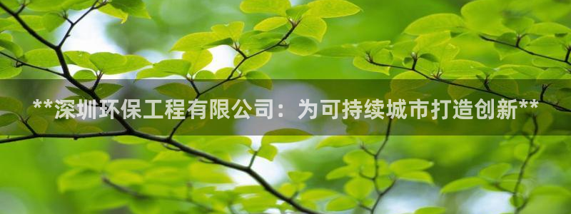 彩名堂怎么买准确率高：**深圳环保工程有限公司：为可持续城市打造创新**