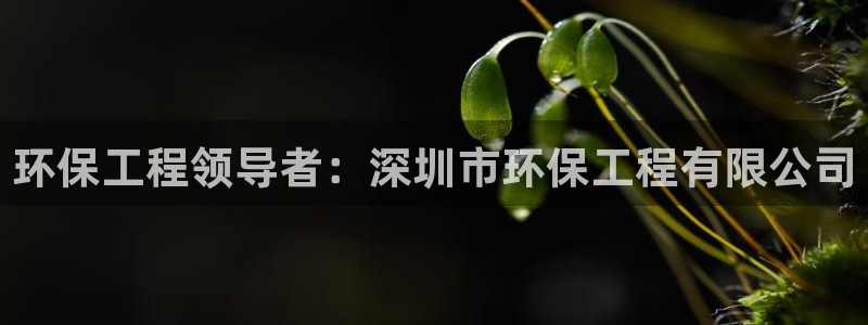 老版彩名堂：环保工程领导者：深圳市环