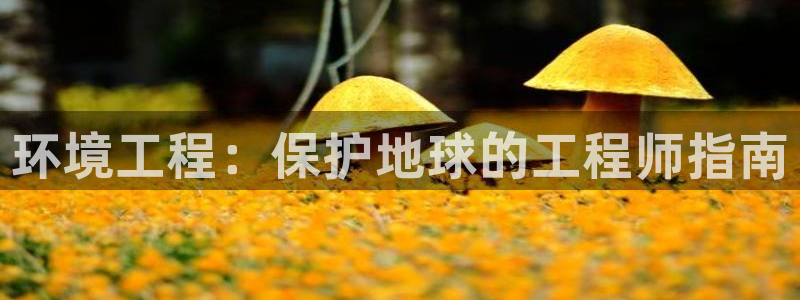 彩名堂怎么选稳定计划产品：环境工程：
