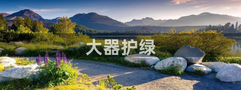 彩名堂最新预测3d：大器护绿