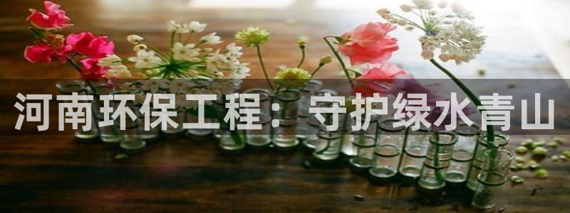 彩名堂合作655560：河南环保工程