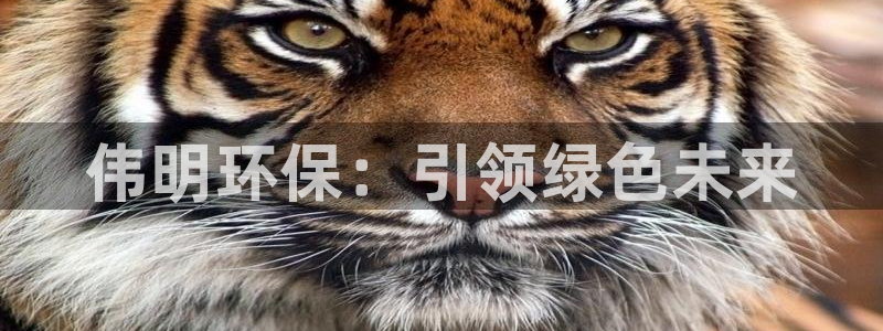 彩名堂计划软件下载：伟明环保：引领绿