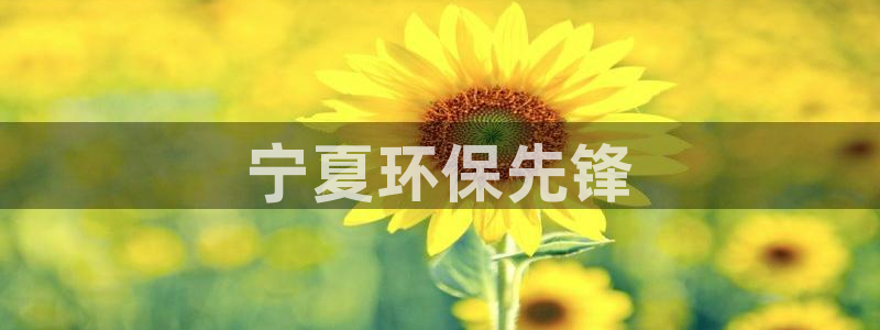 彩名堂人工预测免费计划：宁夏环保先锋