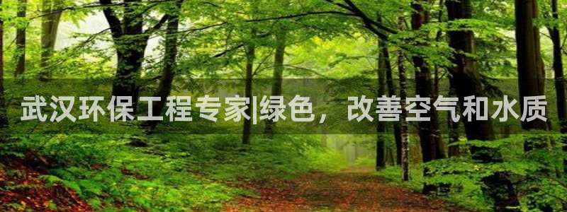 彩名堂.netnet：武汉环保工程专