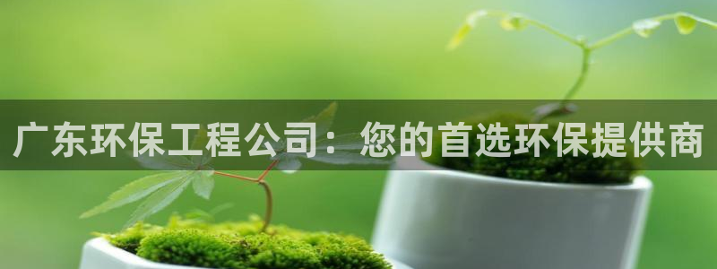 彩名堂官网：广东环保工程公司：您的首