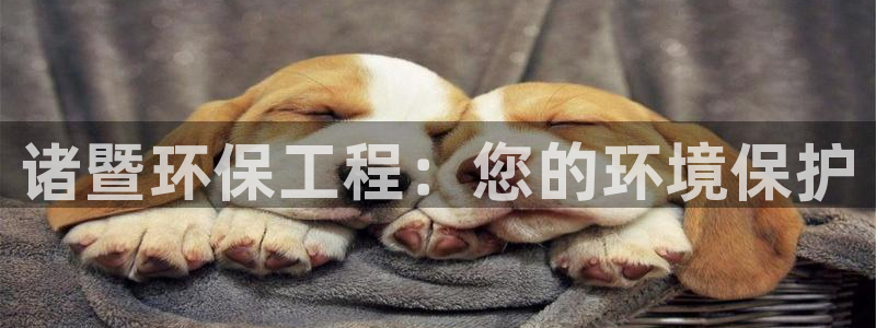 彩名堂人工计划怎么找不到下载了?：诸