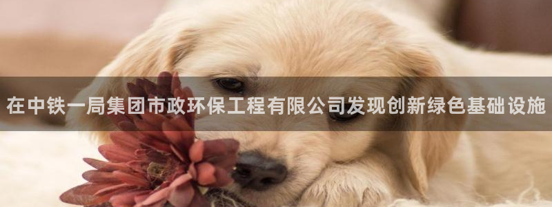彩名堂手机客户端官网：在中铁一局集团