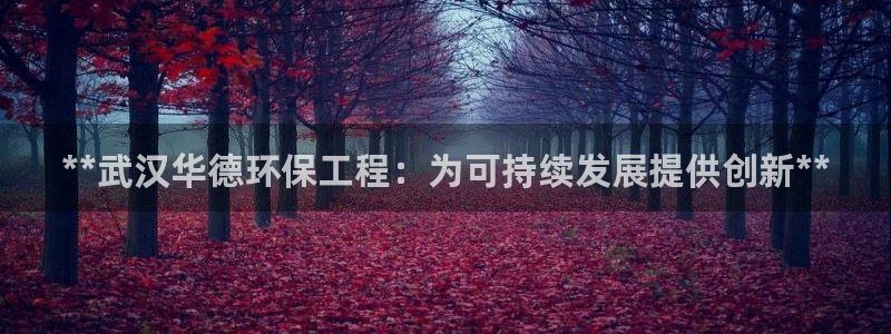 彩名堂全天计划：**武汉华德环保工程
