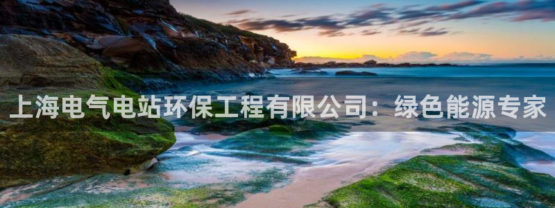 彩名堂预测免费计划怎么看的：上海电气
