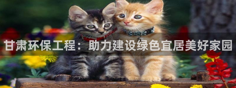 彩名堂怎么打不开了：甘肃环保工程：助