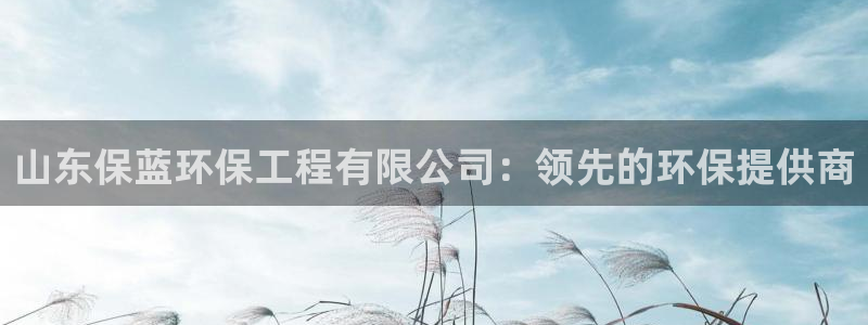 彩名堂怎么样：山东保蓝环保工程有限公
