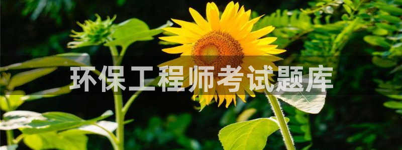 彩名堂官网谁有：环保工程师考试题库