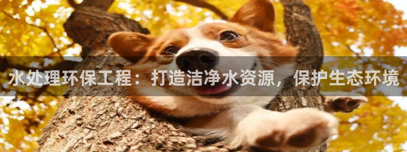 彩名堂免费计划官网5.0app：水处