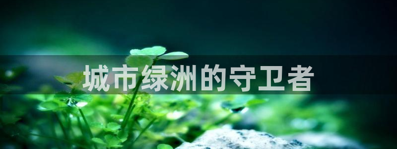 彩名堂怎么买准确率高：城市绿洲的守卫