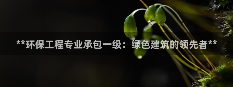 彩名堂怎么用不了了：**环保工程专业承包一级：绿色建筑的领先者**