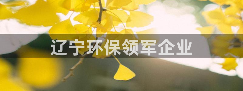 彩名堂预测官网：辽宁环保领军企业
