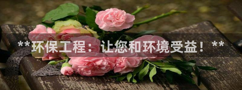 彩名堂计划技巧有哪些：**环保工程：
