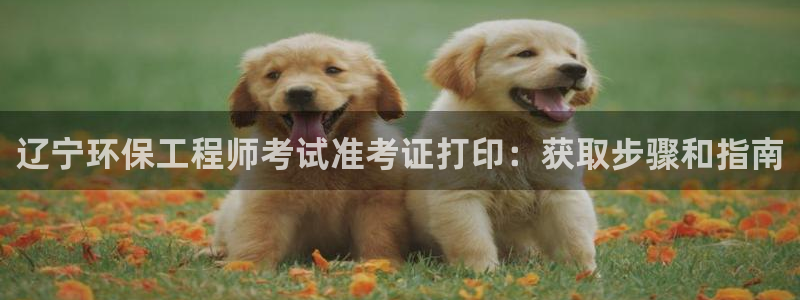 为什么彩名堂今天不能用：辽宁环保工程