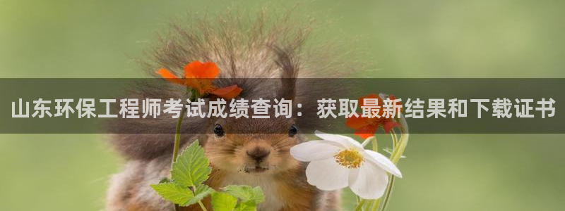彩名堂免费计划软件下载：山东环保工程师考试成绩查询：获取最新结果和下载证书
