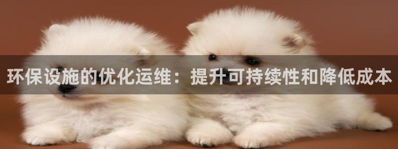彩名堂计划app安卓免费下载：环保设施的优化运维：提升可持续性和降低成本