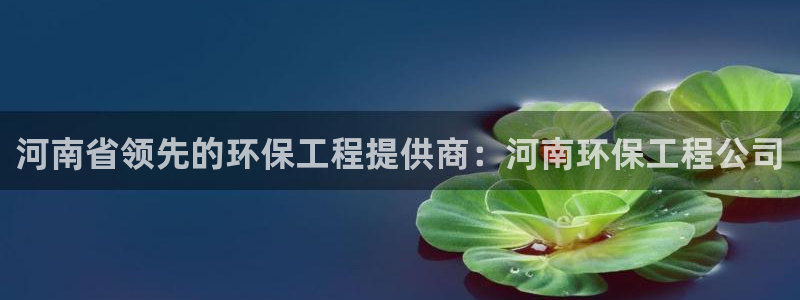 彩名堂免费计划使用方法是什么：河南省