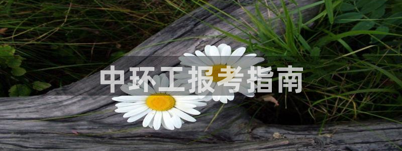 彩名堂计划技巧：中环工报考指南