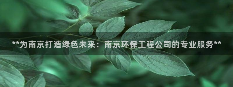 老版本彩名堂计划软件：**为南京打造