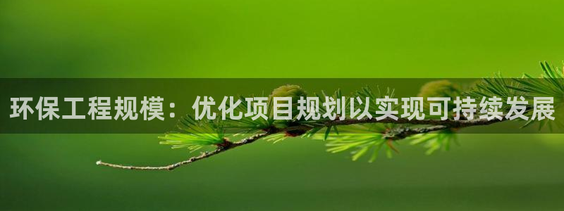 老版本彩名堂计划软件：环保工程规模：