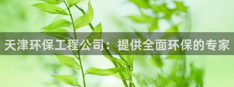 彩名堂改名稻草人了吗：天津环保工程公司：提供全面环保的专家