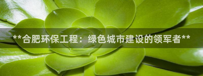 彩名堂网页：**合肥环保工程：绿色城