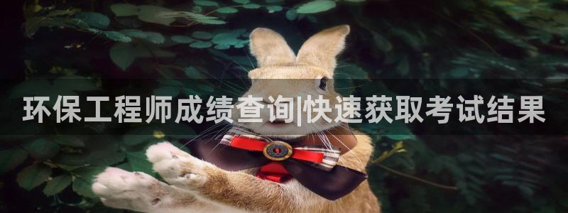 彩名堂彩：环保工程师成绩查询|快速获