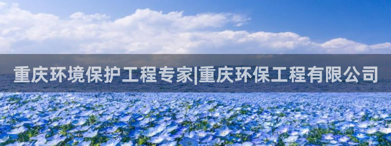 彩名堂客户端加拿大：重庆环境保护工程