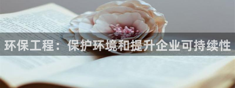 彩名堂：环保工程：保护环境和提升企业