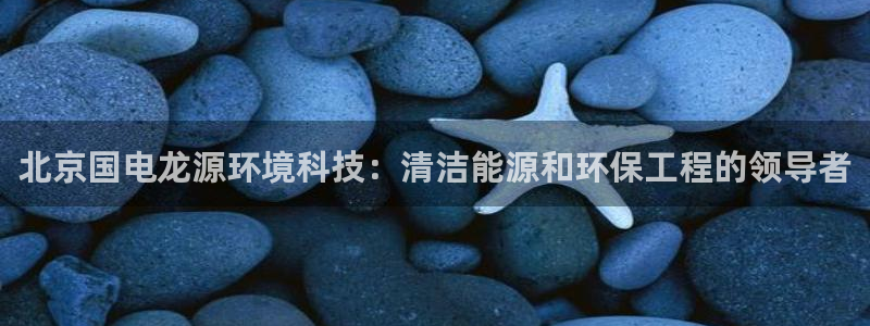 彩名堂为什么打不开：北京国电龙源环境