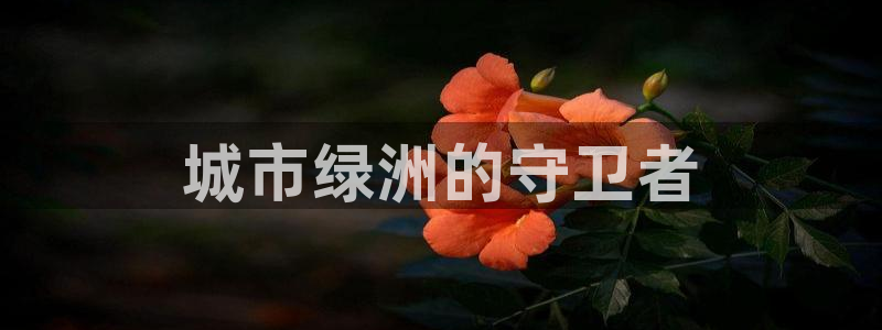 彩名堂苹果客户端：城市绿洲的守卫者
