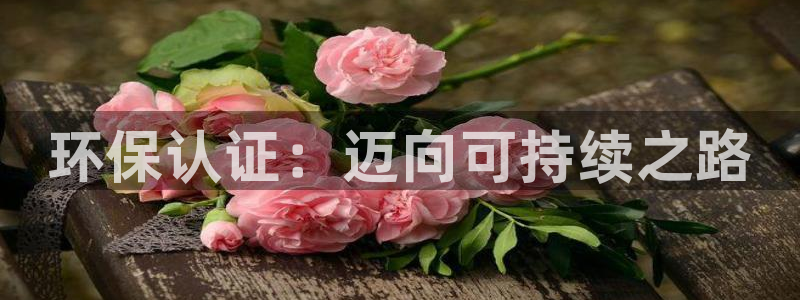 彩名堂免费计划5.0使用方法：环保认