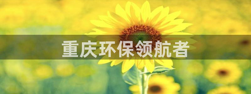 彩名堂免费计划官网5.0app：重庆