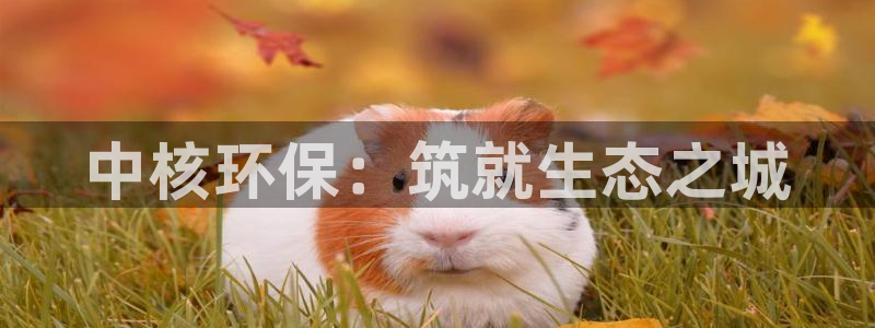彩名堂苹果客户端怎么下载：中核环保：