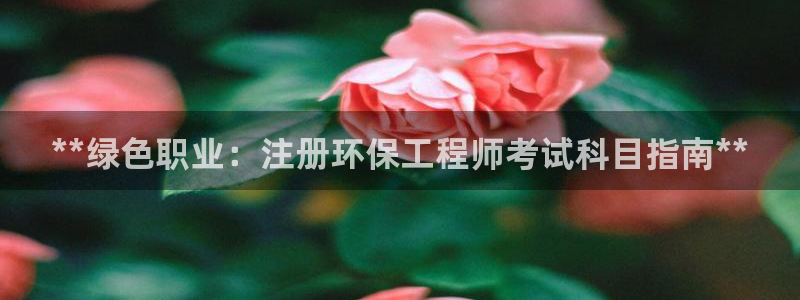 彩名堂人工计划客户端官网：**绿色职