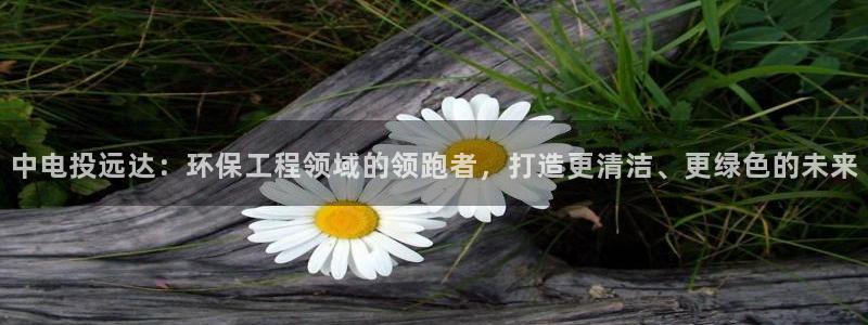 彩名堂移动客户端怎么下载：中电投远达