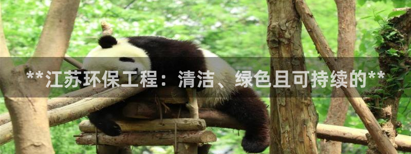 彩名堂计划技巧：**江苏环保工程：清
